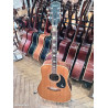 Guitare Epiphone FT-150
