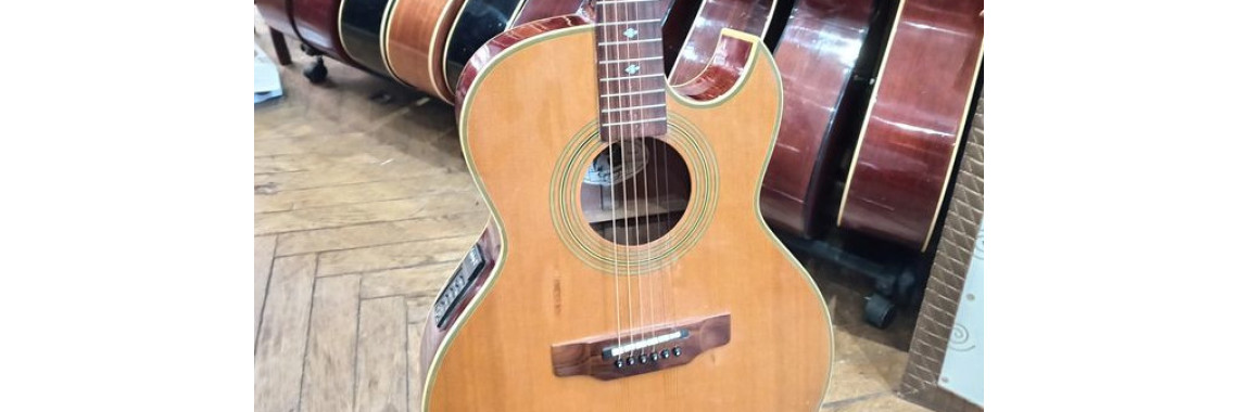 Epiphone PR5E